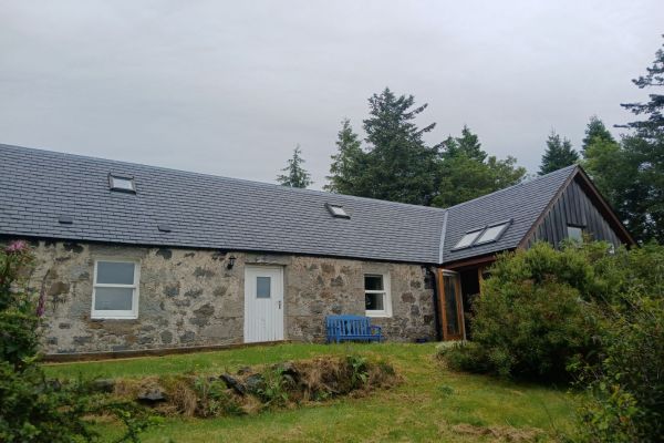 back-view2-R.jpg